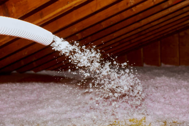 Best Insulation Contractor Near Me  in New Oxford, PA