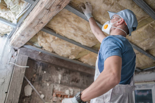 Best Energy-efficient Insulation  in New Oxford, PA
